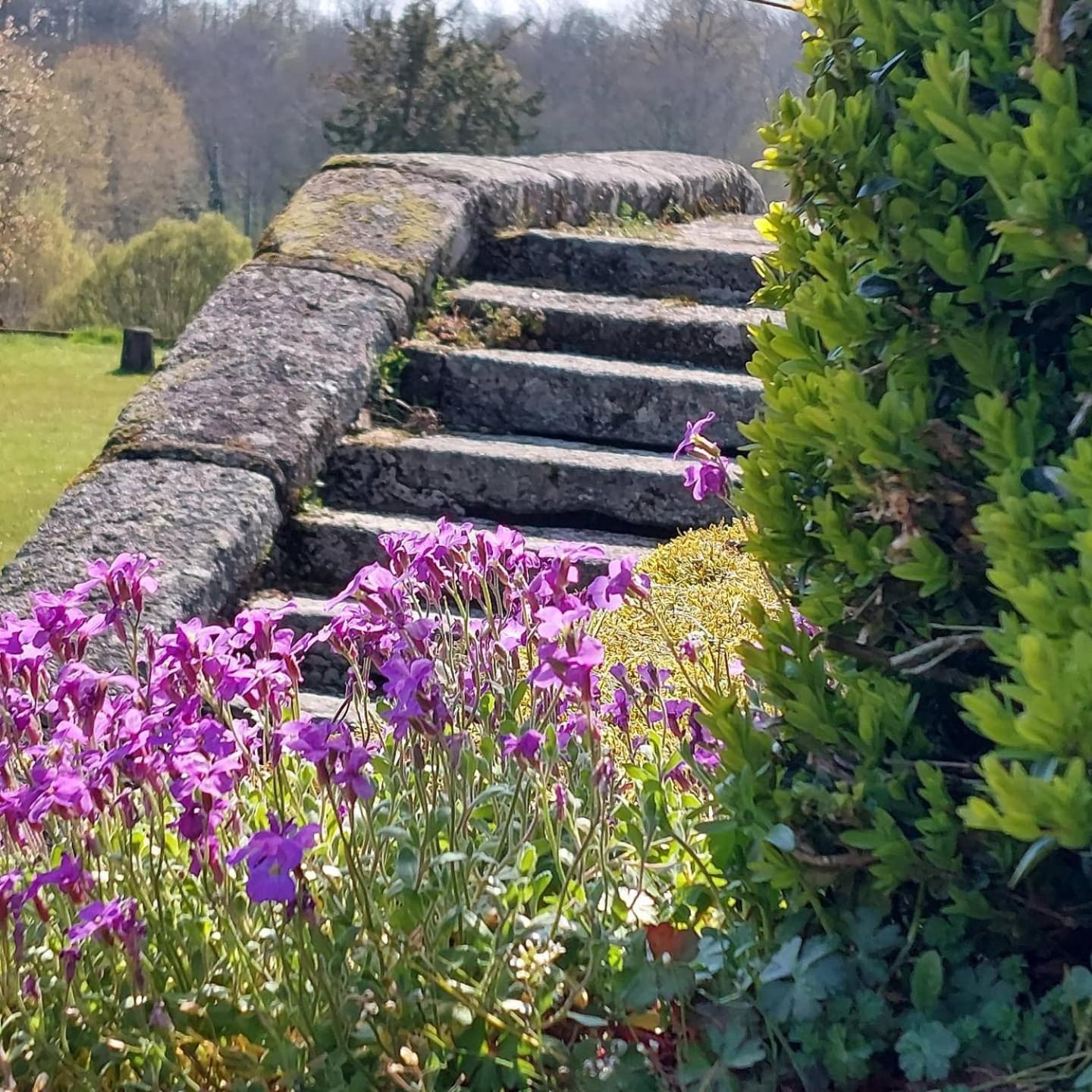 Vila Chateau De Vaux Gesnes-le-Gandelin Exteriér fotografie