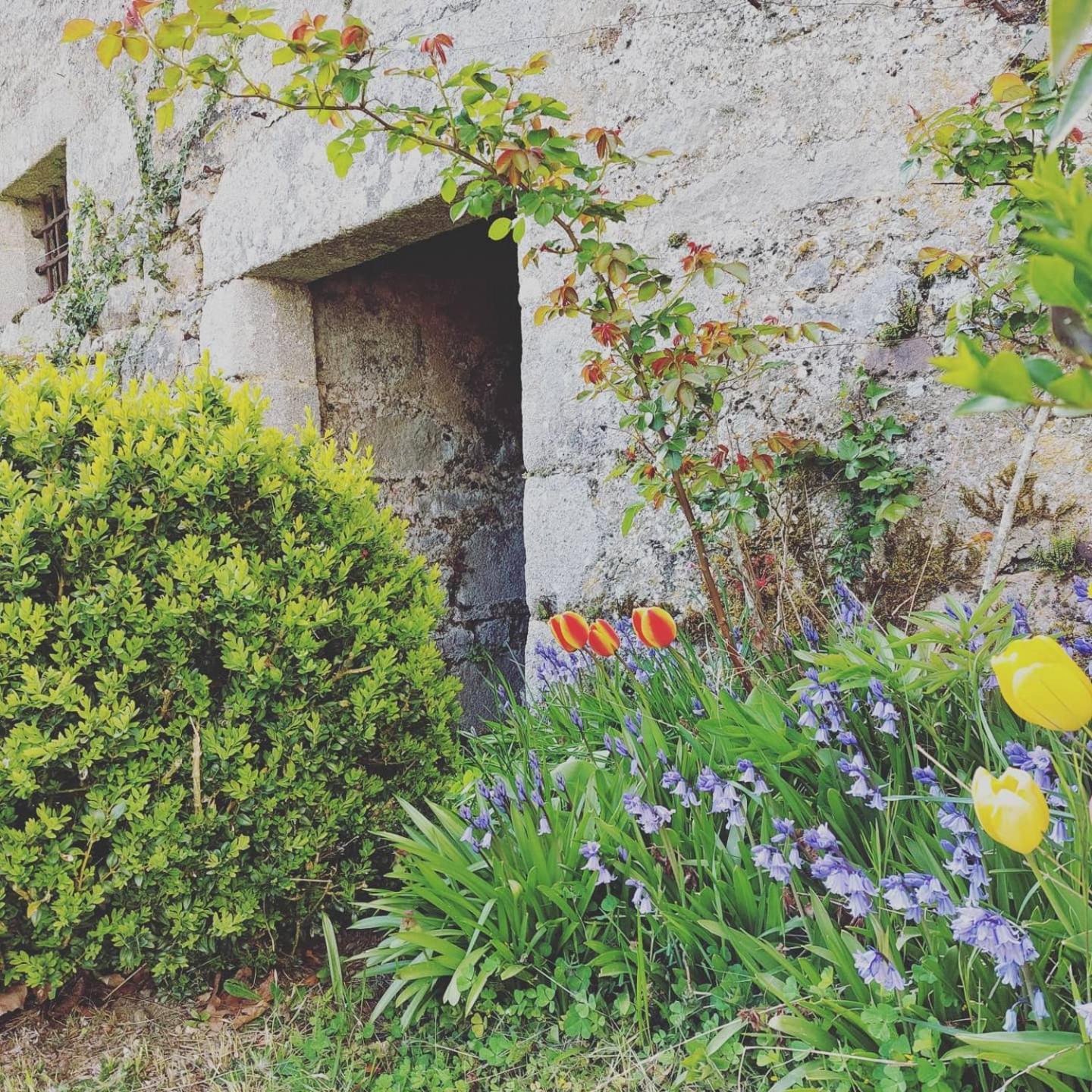 Vila Chateau De Vaux Gesnes-le-Gandelin Exteriér fotografie